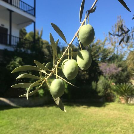 Appartamento Nikos & Panagiota Vourvourou Esterno foto