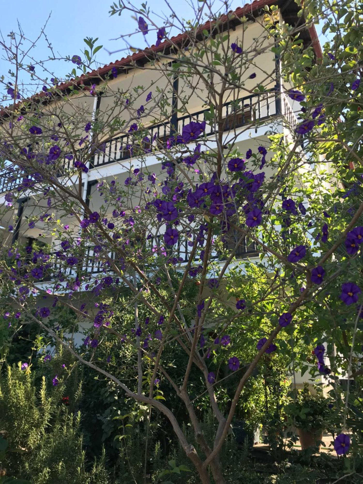 Appartamento Nikos & Panagiota Vourvourou Esterno foto